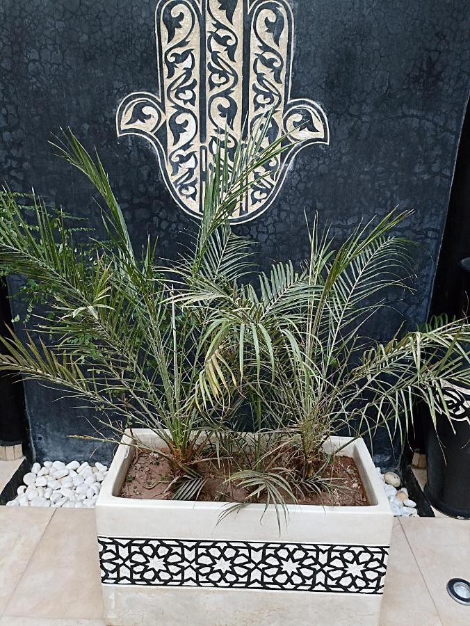 Riad Excellence Marrakesh Luaran gambar